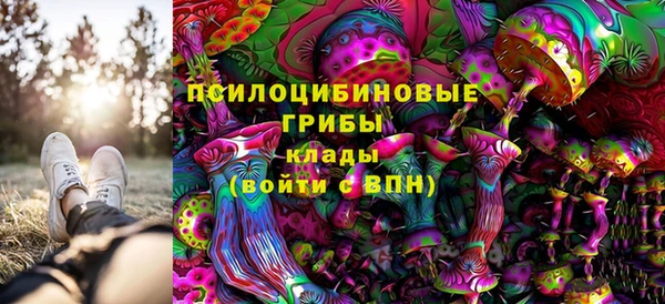 мяу мяу мука Алзамай