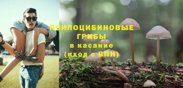 соль ск Алексин