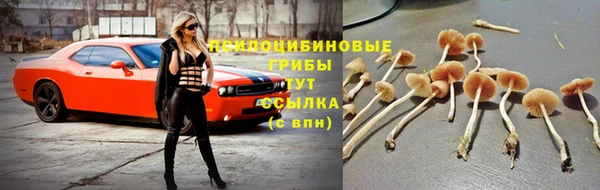 мяу мяу мука Алзамай