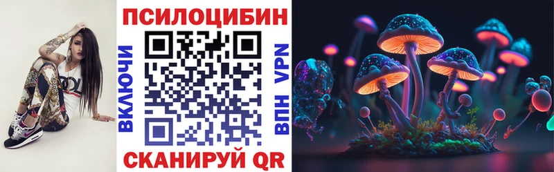 закладка  Старая Купавна  Псилоцибиновые грибы мицелий 